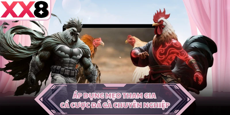 Áp dụng mẹo tham gia cá cược đá gà chuyên nghiệp